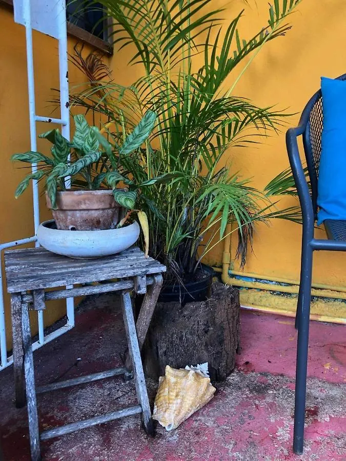 Bnb Somom Mobay Lodging مونتيغو باي بيت ضيافة